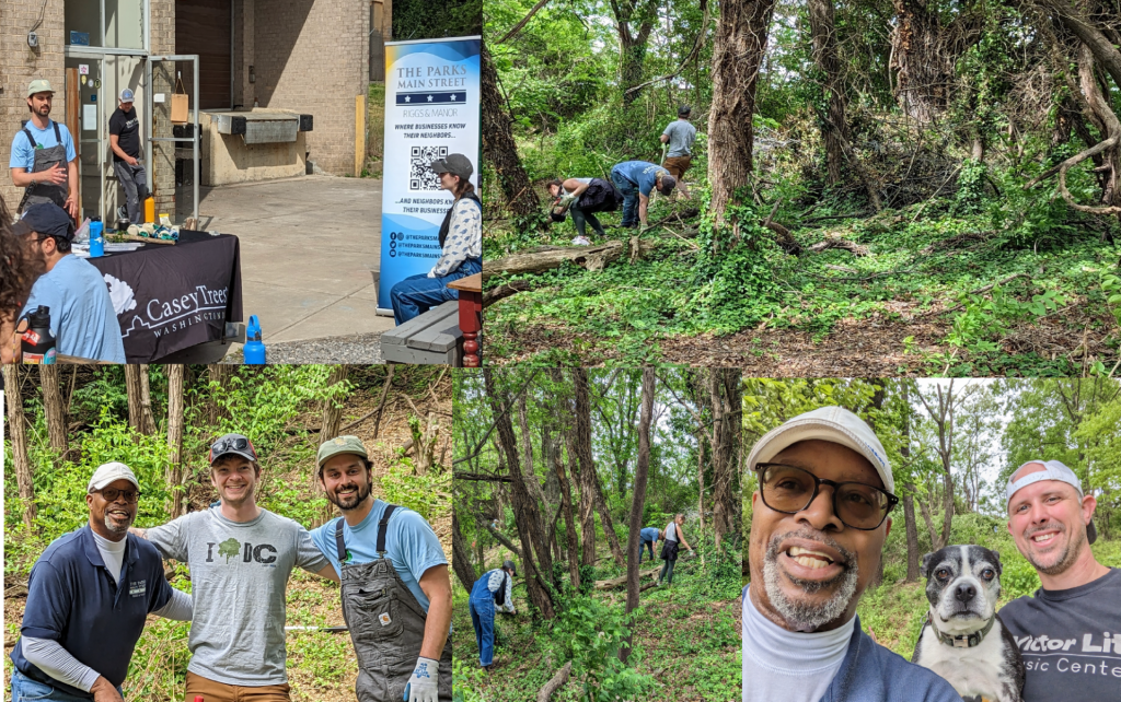 Community powerhouses combat invasive species